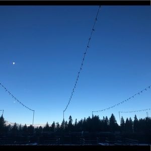 Meet your Posher, Alisha